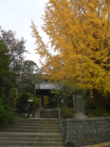 安国論寺