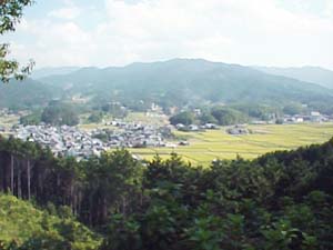 甘橿丘から見た飛鳥川原宮