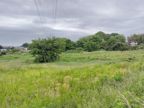 粟野