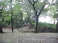 室町期の亥鼻城土塁。神社を兼ねていたか