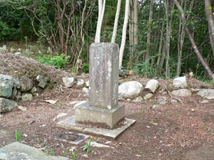 真明院殿　
