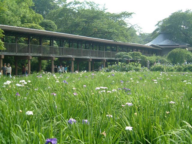 旅先で見た風景