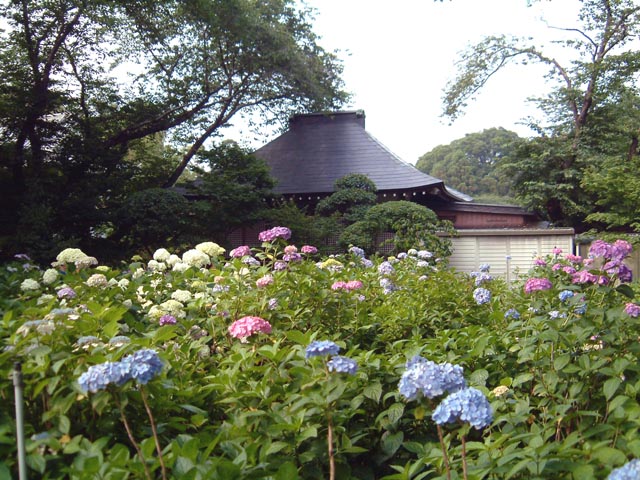 旅先で見た風景