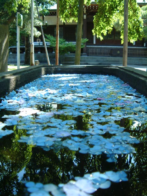 旅先で見た風景