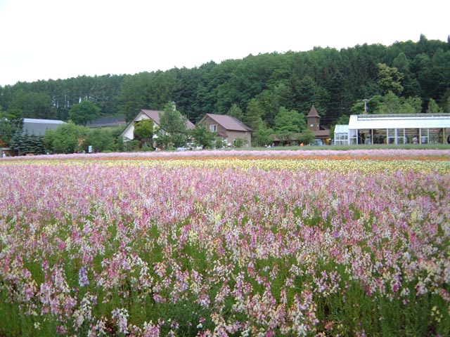 旅先で見た風景