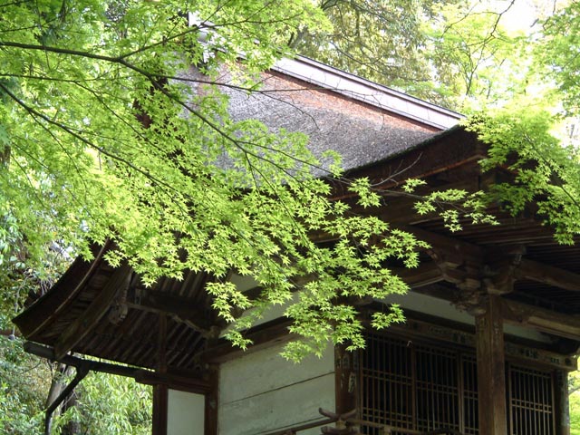 旅先で見た風景