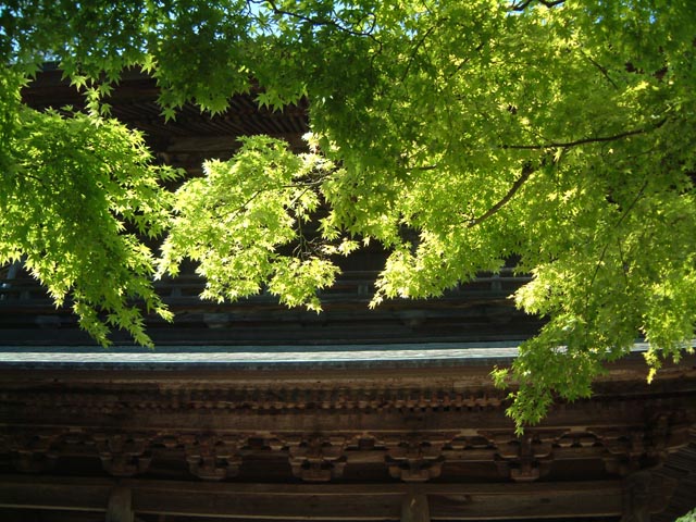 旅先で見た風景
