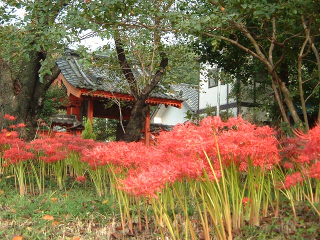 旅先で見た風景