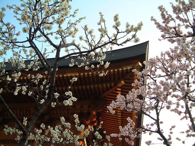 旅先で見た風景