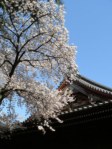 旅先で見た風景