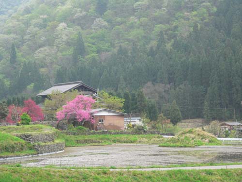 旅先で見た風景