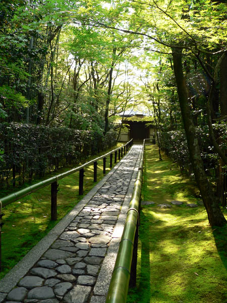 大徳寺