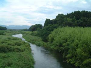 権現堂城跡