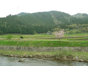 伝木蛇寺跡