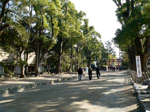 鶴岡八幡宮馬場通