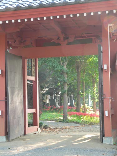 旅先で見た風景