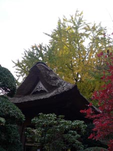 報国寺