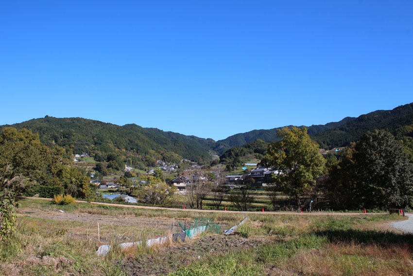 稲淵遺跡