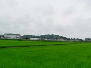 駒ヶ嶺城