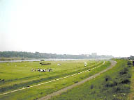 国府台