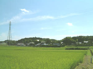 松子城