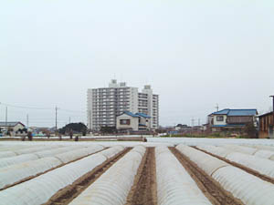 馬加城の遠景