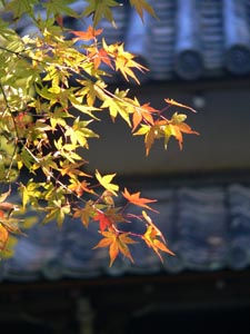 明月院