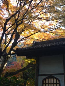 明月院
