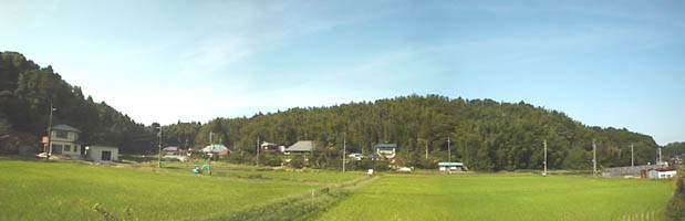 佐倉城遠景