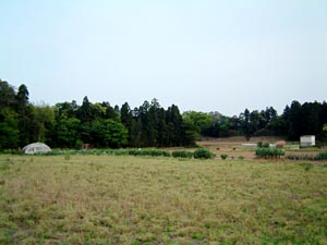 本佐倉城