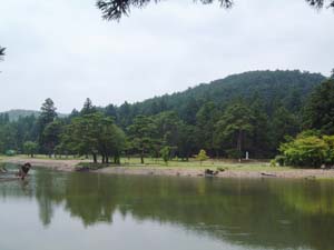 毛越寺址