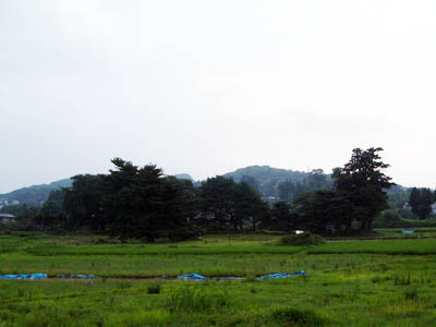 無量光院