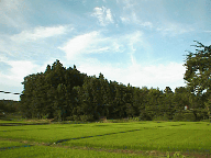 小高城