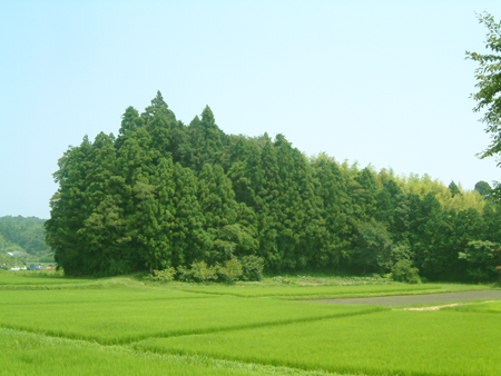 小高城