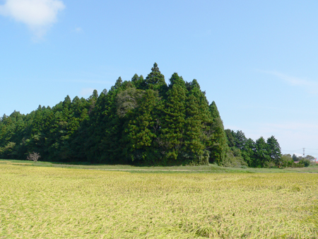 小高城