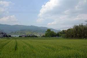 円通寺遠景