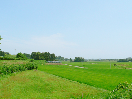 太田郷