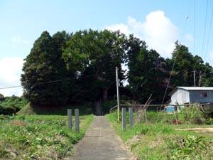 岡田館（小高区）
