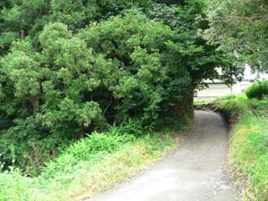 岡田館（中村城内）