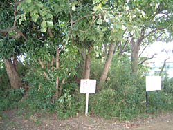 酒井根合戦碑