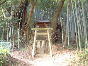 本佐倉城
