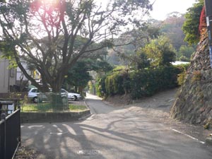 勝長寿院