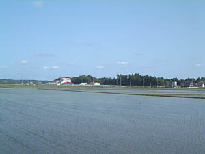 嶋城跡