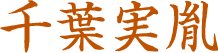 千葉実胤