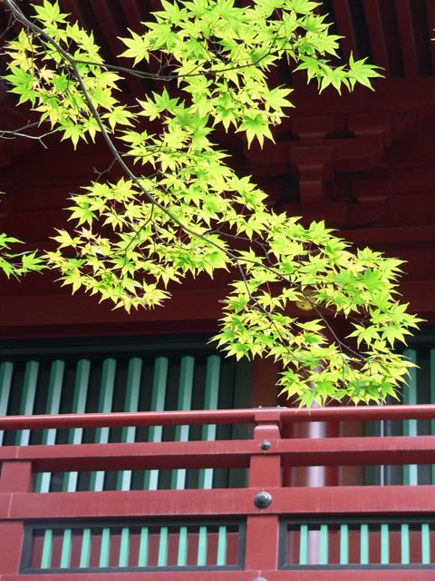 旅先で見た風景