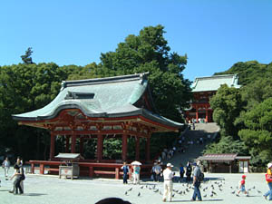 鶴岡八幡宮