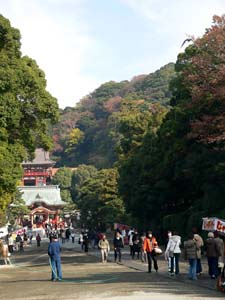 鶴岡八幡宮