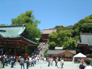鶴岡八幡宮遠景