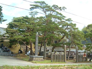 見龍寺