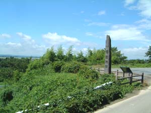 涌谷城